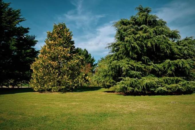 Village Park Tandil Bagian luar foto