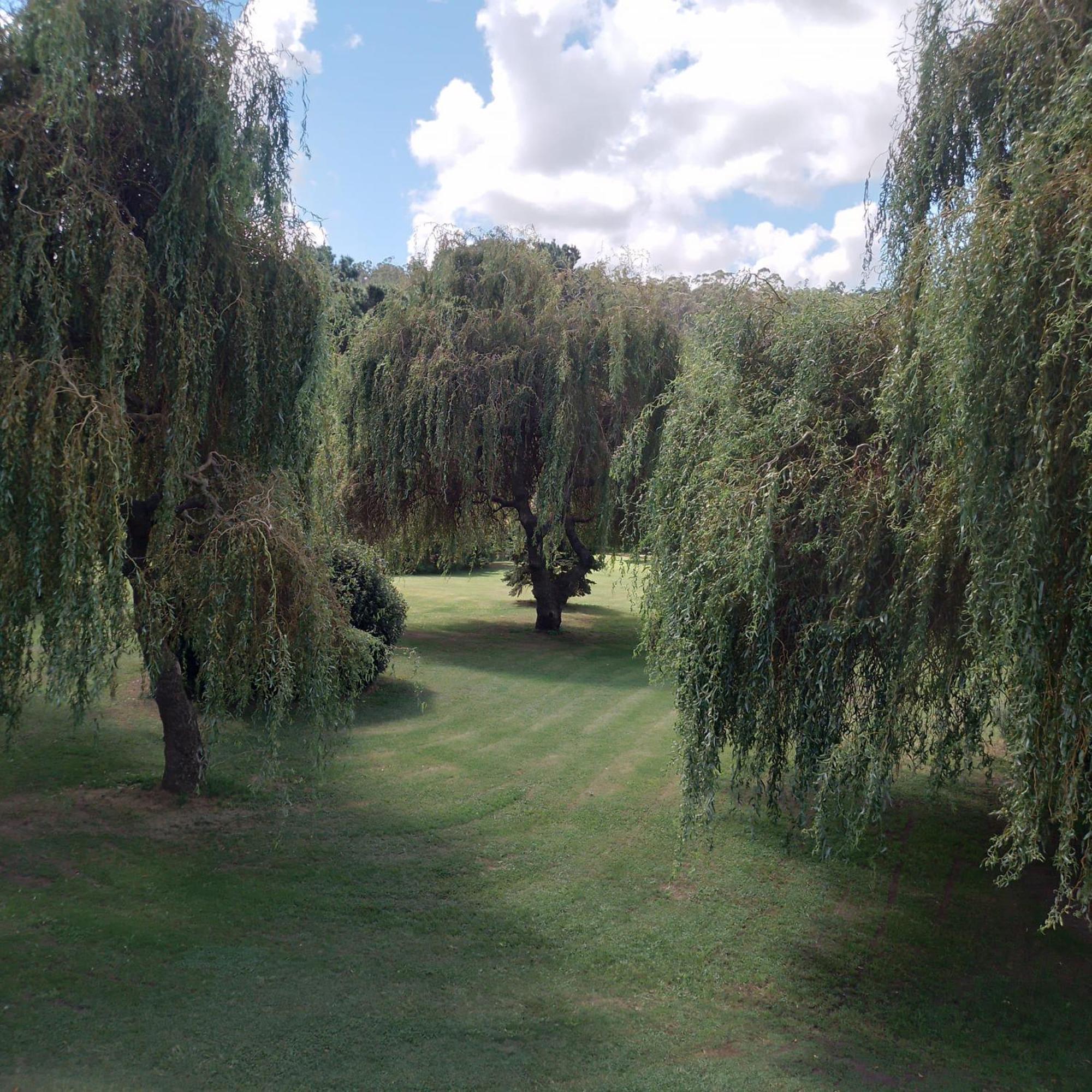 Village Park Tandil Bagian luar foto